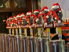 -Boxing Cat Brewery拳击猫精酿啤酒馆(思南公馆店)