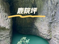 -鹿院坪生态旅游景区