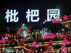 -枇杷园食为鲜火锅(南山店)