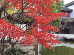 -秋霞圃