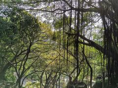 -乌山风景区