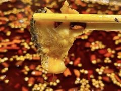 -味之绝热血美蛙鱼火锅(中坝店)