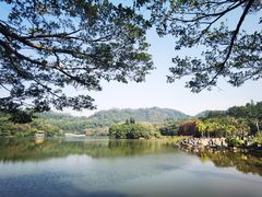 -深圳市中科院仙湖植物园