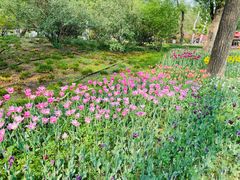 -北京植物园南门售票处