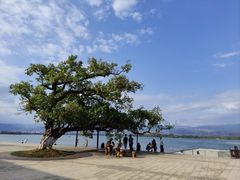 -西昌邛海湿地