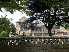 -八大关景区