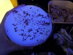 -好久不见网红乐队酒吧(鼓浪屿海底世界店)