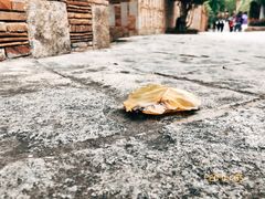 -晋江五店市传统文化旅游区