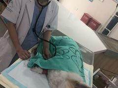-谐和贝康宠物医院24小时·宠保定点(急重症转诊中心)