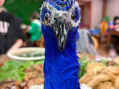 -沐毫傣泐云南菜孔雀宴•手抓饭傣味烧烤(曼听店)