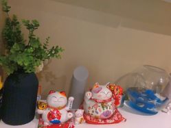 -MOE BEAUTY.皮肤管理中心