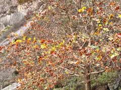-秦岭终南山世界地质公园翠华山景区