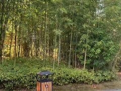 -咸宁万豪温泉谷度假区