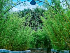 景观位-凤阁楼果木烧鹅(鹤山陈山店)