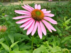 -苏州河梦清园环保主题公园