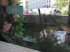 门面-陈生记黑鱼馆·20年活鱼现杀(宁波鼓楼店)