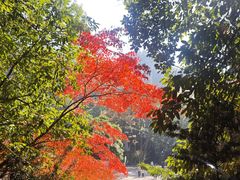 -大慈岩风景区