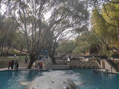 -东明山森林公园
