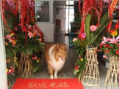 店内环境-帅帅宠物生活馆(三元路店)