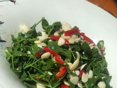 -兰州老马家族食府(康庄总店)