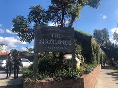 -The Grounds of Alexandria