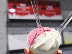 -Dip in Gelato(富民路店)