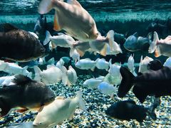 -成都浩海立方海洋公园