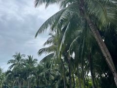 -三亚湾海居铂尔曼度假酒店