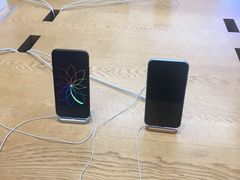 -Apple零售店(王府井店)