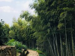 -径山寺