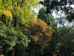 -汇龙潭