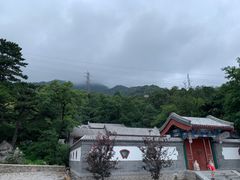 -阳台山自然风景区
