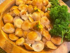 -季季山·云南野生菌火锅(上海首店)