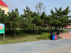 -日照海滨国家森林公园