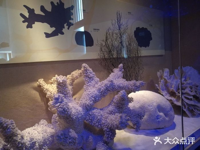 广东省博物馆景点图片