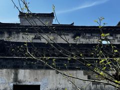 -菲滋意式餐厅(富阳东方茂店)