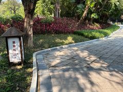 -森波拉火山温泉