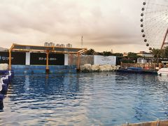 -三亚海昌梦幻海洋不夜城