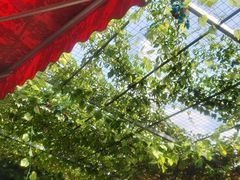 -伊隆斋(什刹海店)