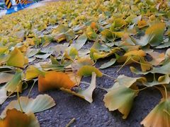 -山东师范大学(千佛山校区)