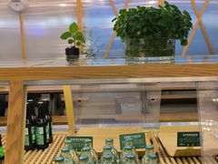 -Green Option(官舍店)