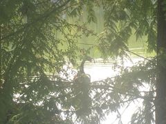 -浙江农林大学(东湖校区)