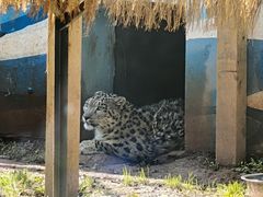 -青藏高原野生动物园