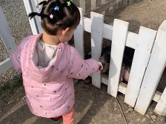 -前小桔亲子创意农场·草莓采摘·露营烧烤