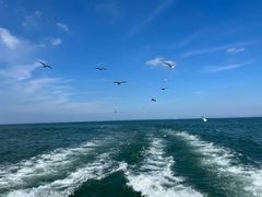 -威海国际海水浴场旅游区