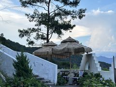 -龙岩森林水乡景区
