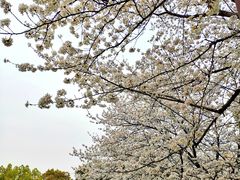 -堤角公园