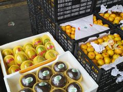 -西郊国际农产品交易中心
