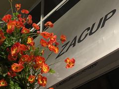 -杂咖zacup(领展中心城店)
