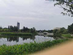 -映月湖公园